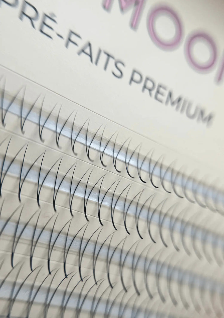 Bouquets extensions de cils 2D pour un résultat naturels à utilisé par les techniciennes de cils, résistant facile à tarvailler, bonne excellente qualité de marque d'extensions de cils Maison Moon