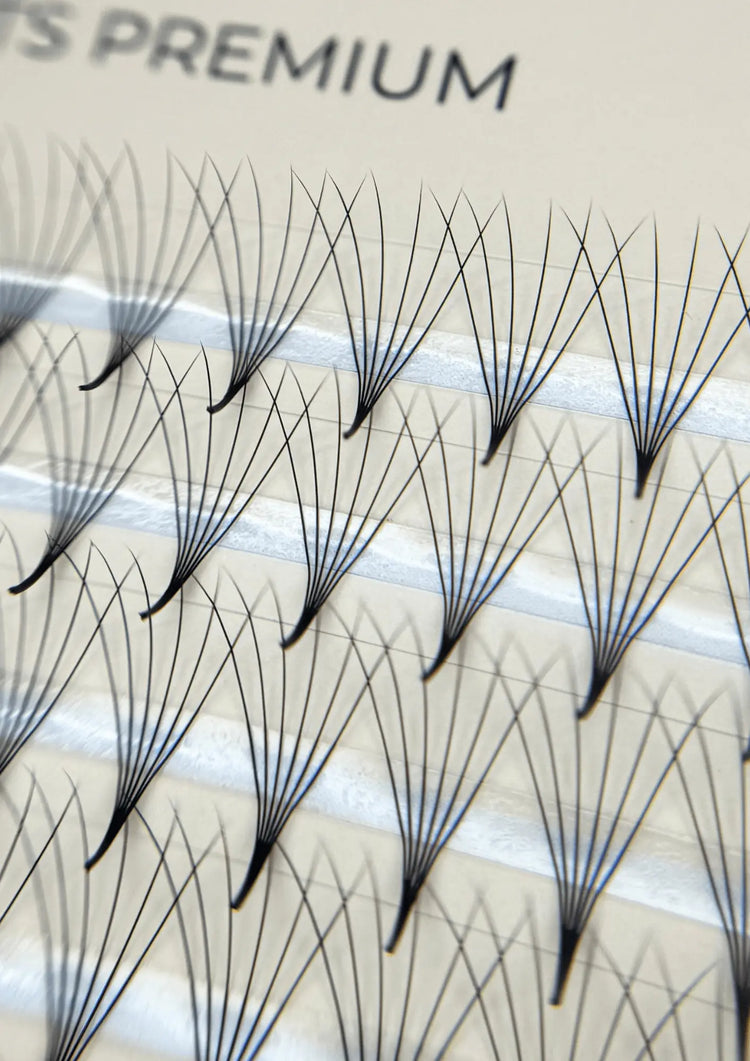 Bouquets extensions de cils 6D pour un résultat intense et founi à utilisé par les techniciennes de cils, résistant facile à travailler, bonne excellente qualité de marque d'extensions de cils Maison Moon